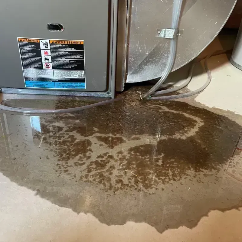 Appliance Leak Cleanup in Belle, MO